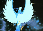 L'Oiseau Bleu - image 12