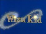 Wish Kid - image 1