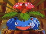 Pokémon (série 1) - image 12