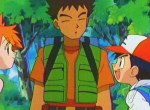 Pokémon (série 1) - image 13