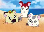 Hamtaro - image 3