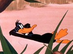 Daffy Duck - image 4