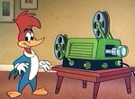 Woody Woodpecker - image 8