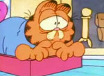 Garfield - image 6