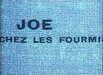 Joe chez les Fourmis