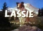 Lassie - image 1