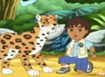 Go Diego ! - image 10