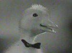 Saturnin - image 1