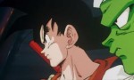 Dragon Ball Z - Film 01 - image 12