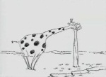 Tam-Tam - image 6
