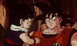 Dragon Ball Z - Film 05 - image 6