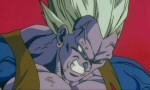 Dragon Ball Z - Film 07 - image 13