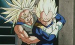 Dragon Ball Z - Film 09 - image 11