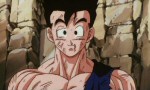 Dragon Ball Z - Film 10 - image 13