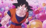 Dragon Ball Z - Film 12 - image 7