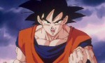 Dragon Ball Z - Film 13 : L'Attaque du Dragon - image 13