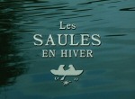 Les Saules en Hiver