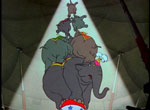 Dumbo - image 8