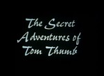 Les Aventures Secrètes de Tom Pouce - image 1