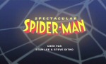 Spectacular Spider-Man - image 1