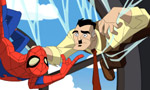 Spectacular Spider-Man - image 15
