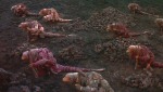 Dark Crystal (<i>film</i>) - image 12