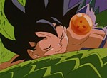 Son Goku a gagné!