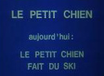 Le Petit Chien - image 1