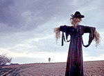 Scarecrow l'Épouvantail - image 1