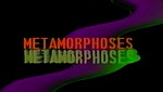 Métamorphoses - image 1