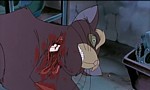 Felidae - image 8