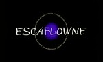 Vision d'Escaflowne : le Film