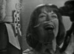 Les Mercredis de la Jeunesse - image 4