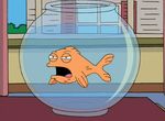 American Dad - image 9