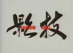 Shadow Skill (OAV)