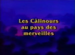 Les Calinours au Pays des Merveilles