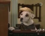 Wishbone, quel cabot ! - image 26