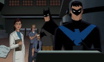 Batman et Harley Quinn - image 4