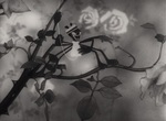 L'Araignée et la Tulipe - image 4