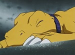 Digimon (série 2) - image 7