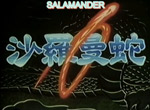 Salamander