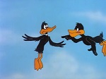 Daffy Duck : L'œuf-orie de Pâques - image 7