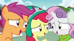 My Little Pony : Best Gift Ever - image 6
