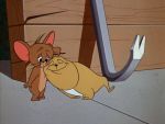 Tom et Jerry (1963-1967) - image 3
