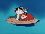 Sea Cat - image 8