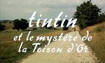 Tintin et le Mystère de la Toison d'Or - image 1