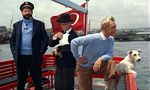 Tintin et le Mystère de la Toison d'Or - image 3