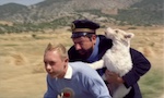 Tintin et le Mystère de la Toison d'Or - image 17