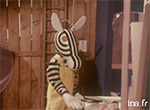 Les Patapluches - image 14