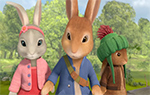 Pierre Lapin - image 13
